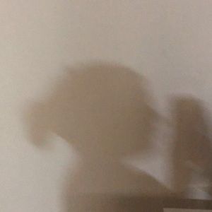 Meet your Posher, Abigail